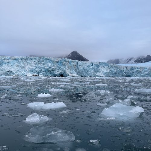 Markovich Svalbard Pack Ice 2022